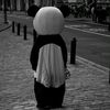 yaramohamed7076