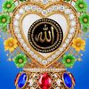 aymanmohamed6112