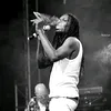 scorpion25684