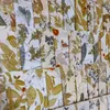 Tips.ecoprint
