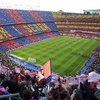 bachircampnou