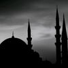 hammami084