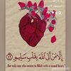amal.amer812