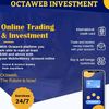 Octaweb Investment Trading