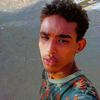 user4041659468215