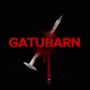 gatubarn00