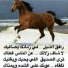mohammadhusienmas