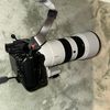 cainephotos
