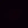 vitor_fxp1