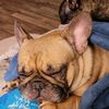 skincareandfrenchies