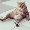 hjuksu