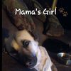bonita.mama.lisa81