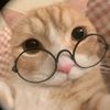 love_lily23