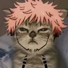 vicaplle