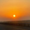 aisha__alhammadi