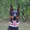 fendithedobe