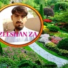 zeeshanahmadahm46