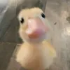 duchieunguyen000