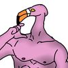 flamingoraajje