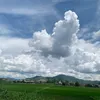 anhnhacem02