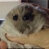 redmi_test