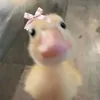divine_eliana12