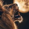 richielion11