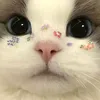 http_pam