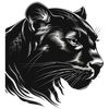 black_jaguar1969
