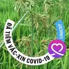 muaxuanoi88