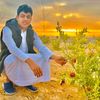 ahmedgomaa3150