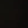 robindu391