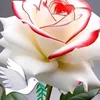 phong.luu.vinh0937386441