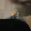 .hnil_ahn_