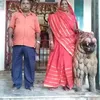 ganggashah38