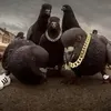 die_gang_45
