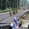 dianasari2963