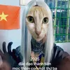 dogalien8