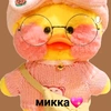 duck_mikkaa1