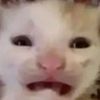iwantchocolate111