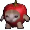 sokora_ippannjinn