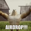 memefi.airdrop