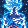 rayad12344