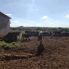 juliocantarelkkh