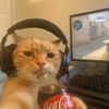 youngmanjay3