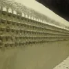 stoneyevu