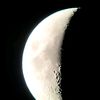 manusia_13201310