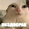 lebyajya_pyska