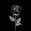 user12826284929