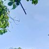 hi_gracia